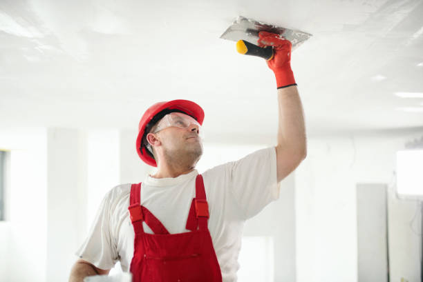 Best Drywall Installation  in Ashland, WI